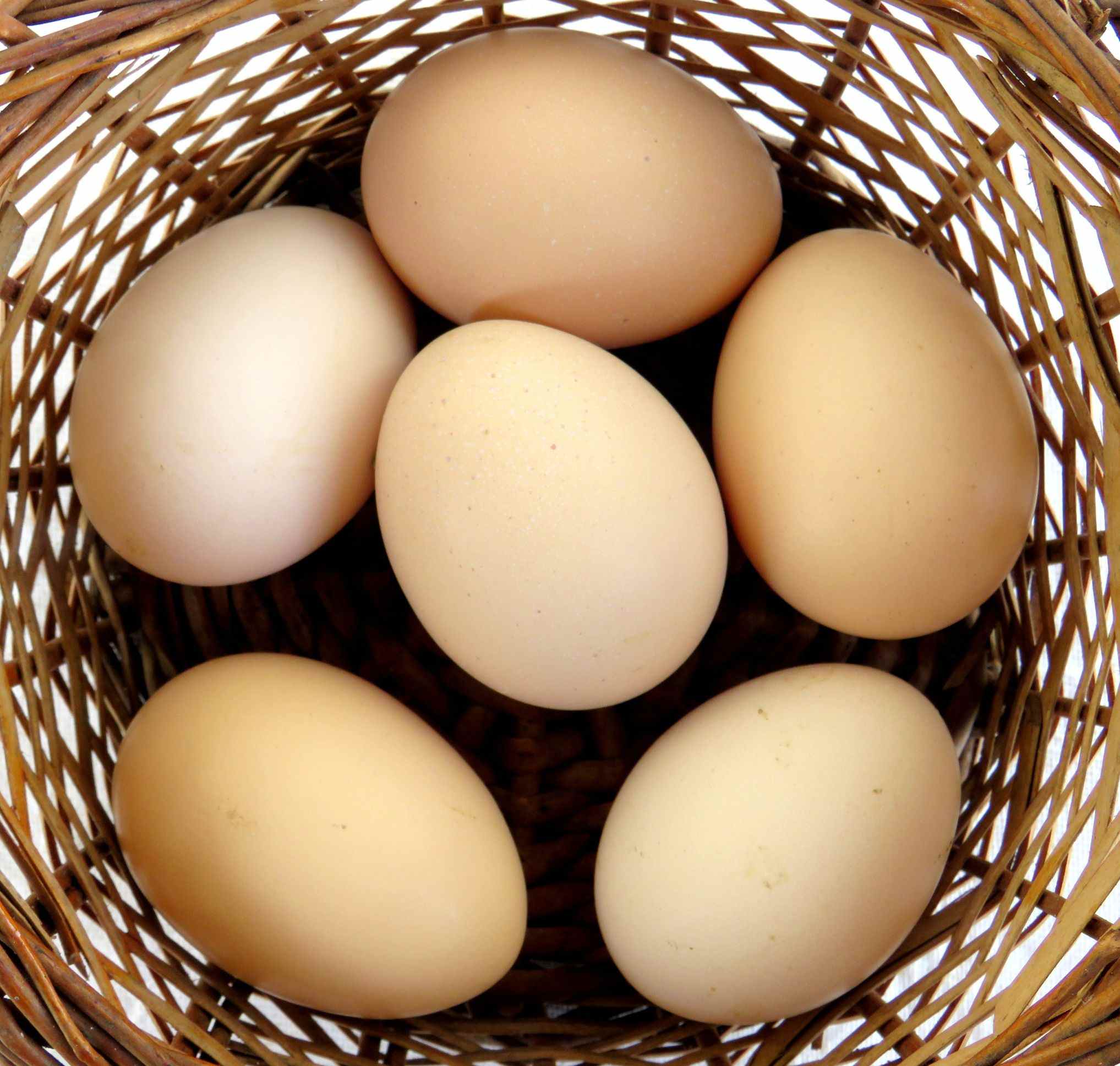 Brown Eggs Free Range